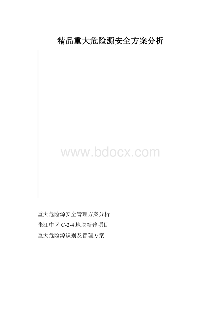 精品重大危险源安全方案分析.docx_第1页