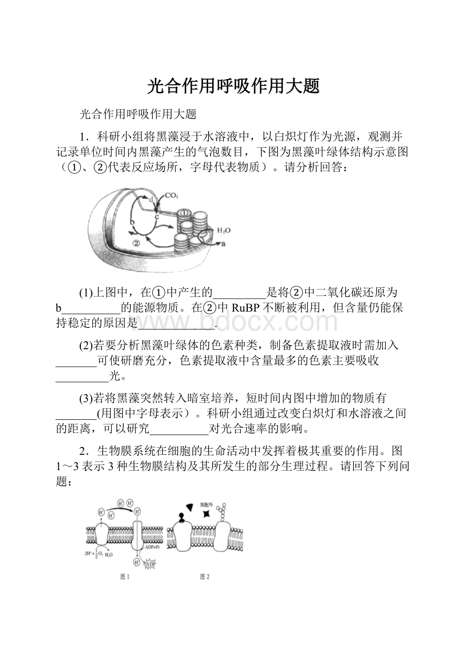 光合作用呼吸作用大题.docx