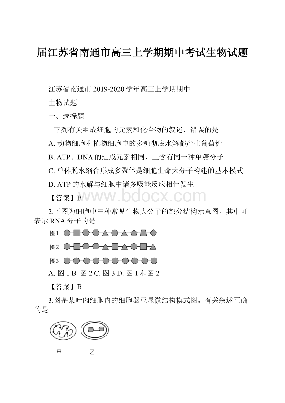 届江苏省南通市高三上学期期中考试生物试题.docx