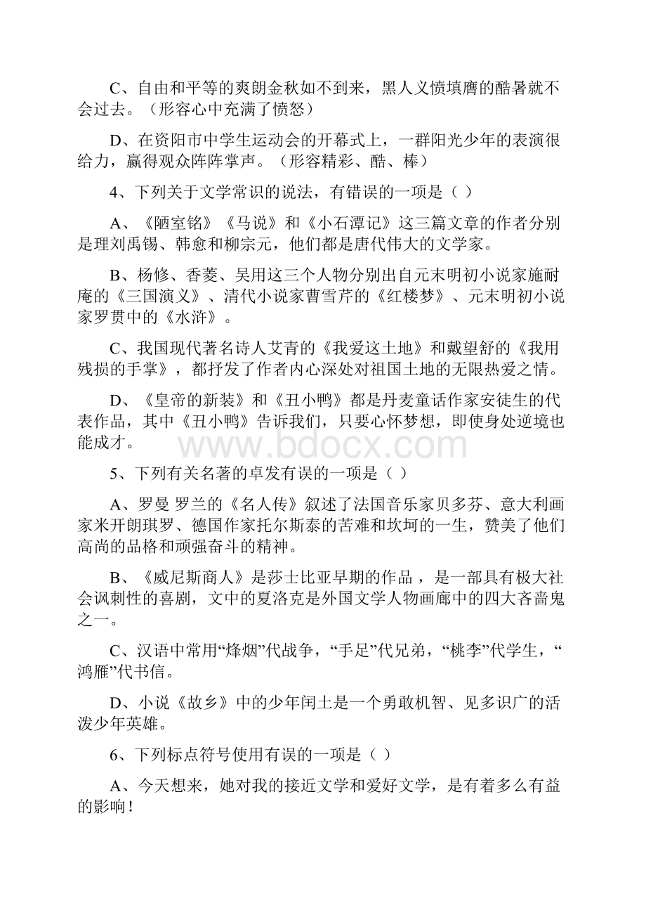 中考专题 初中语文 模拟试题.docx_第2页