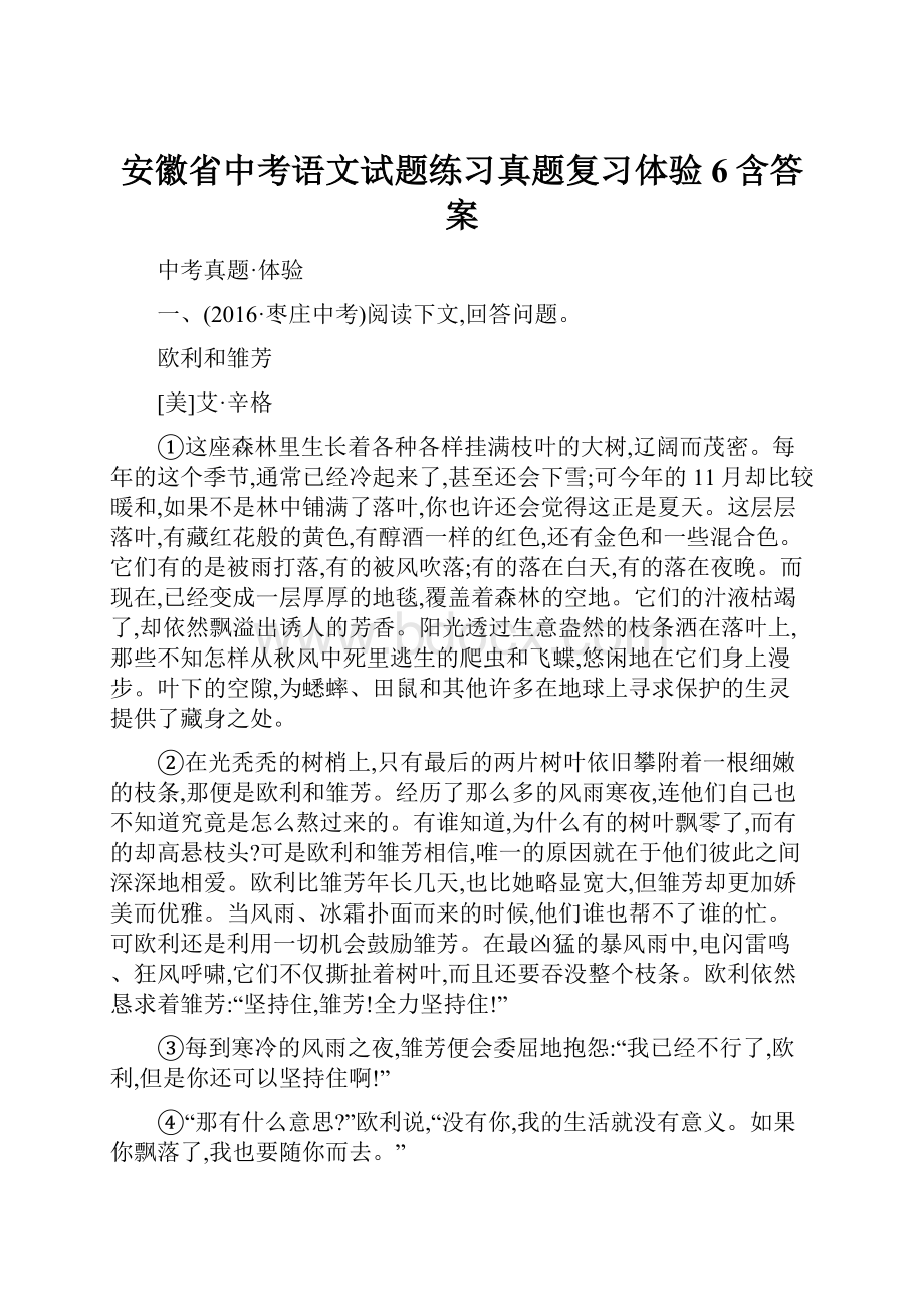 安徽省中考语文试题练习真题复习体验6含答案.docx