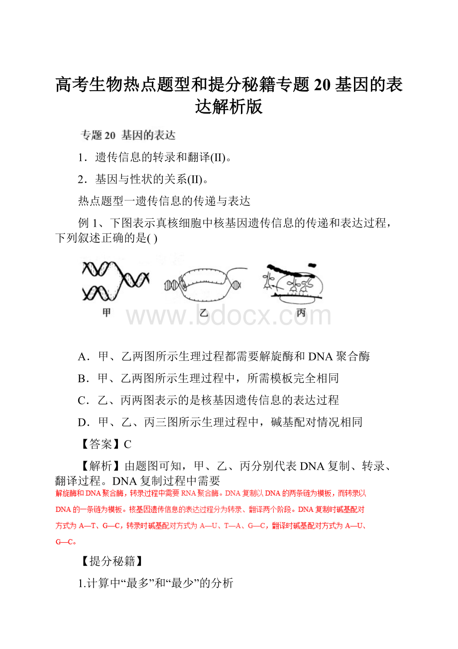 高考生物热点题型和提分秘籍专题20 基因的表达解析版.docx