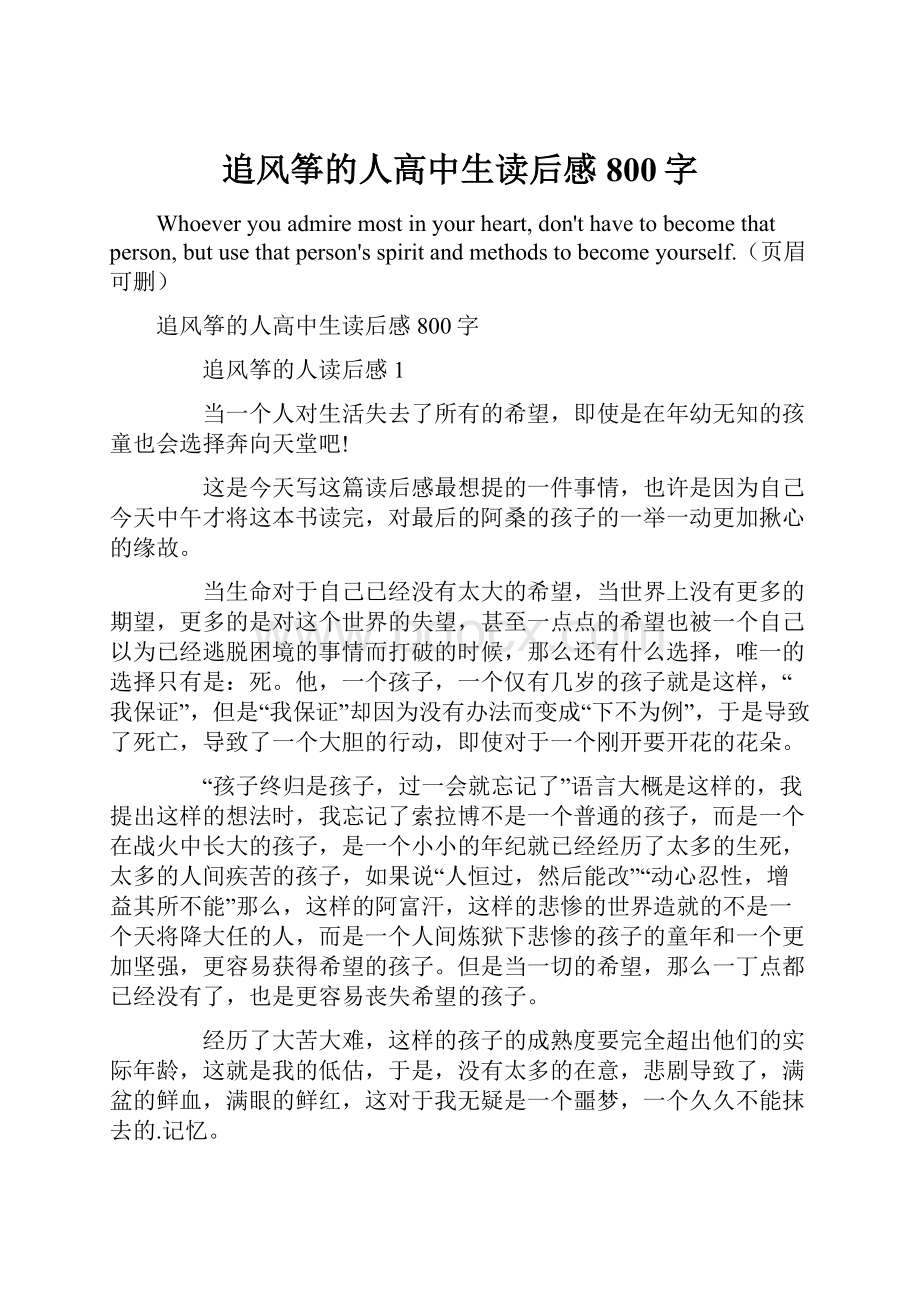 追风筝的人高中生读后感800字.docx