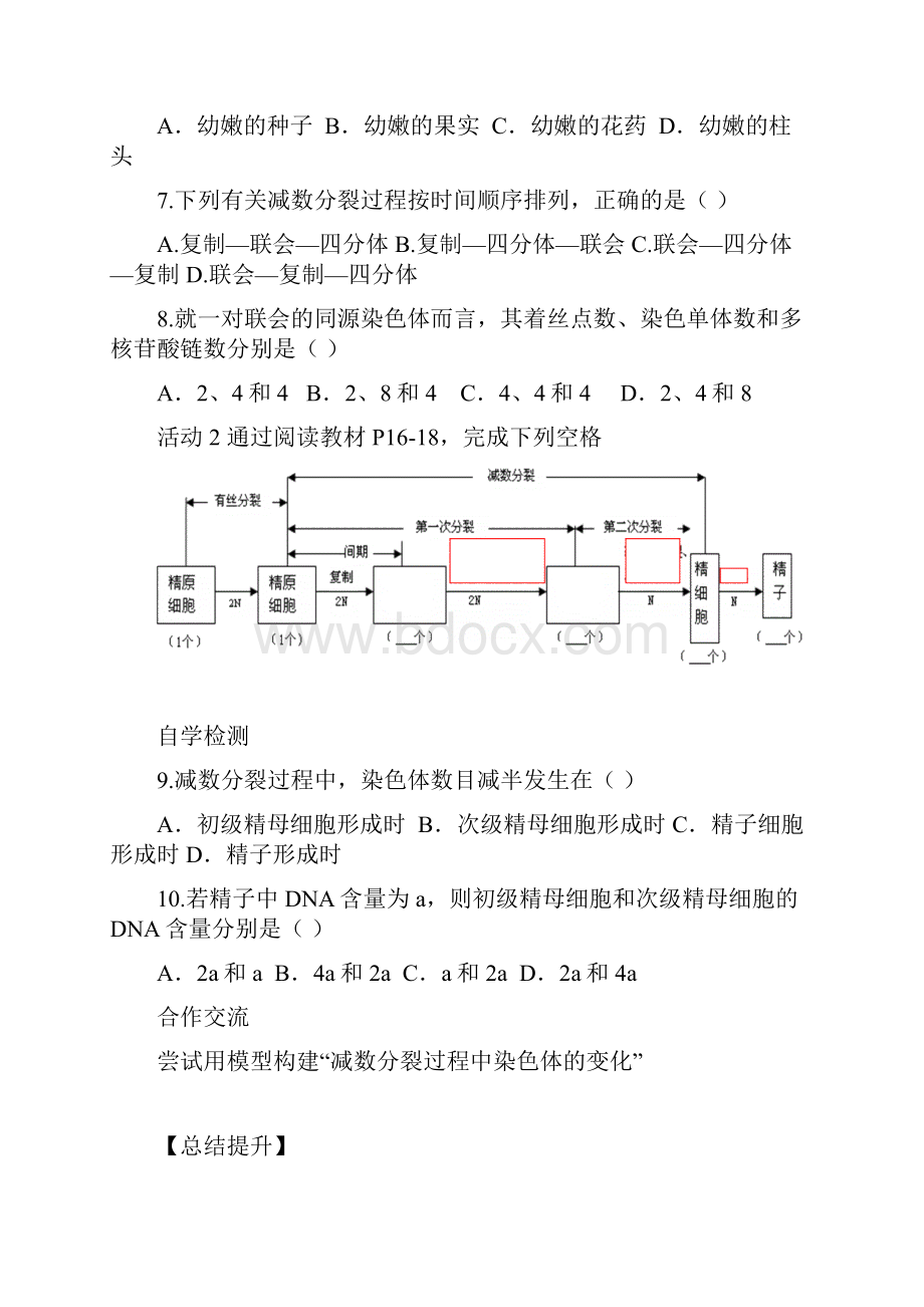 人教版必修二生物导学案211减数分裂和受精作用.docx_第3页