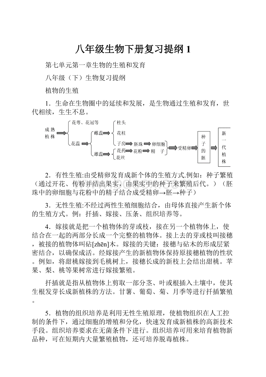 八年级生物下册复习提纲1.docx