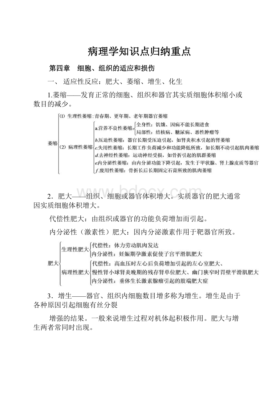 病理学知识点归纳重点.docx