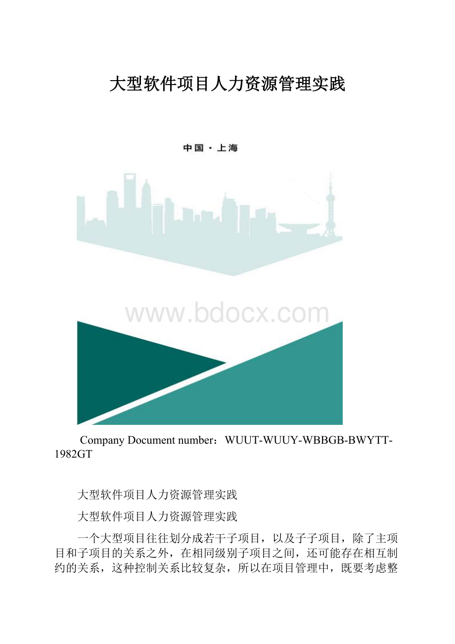 大型软件项目人力资源管理实践.docx