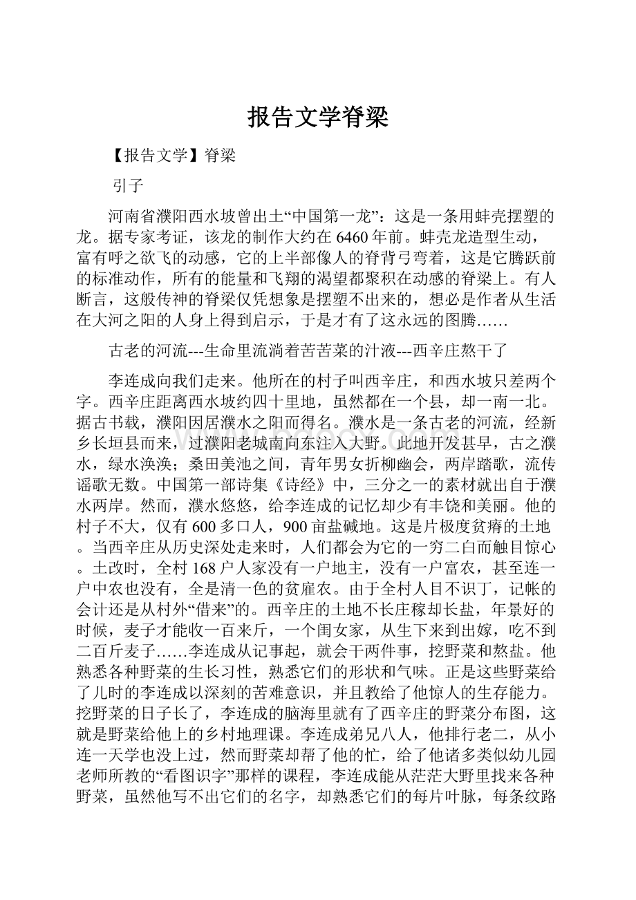 报告文学脊梁.docx