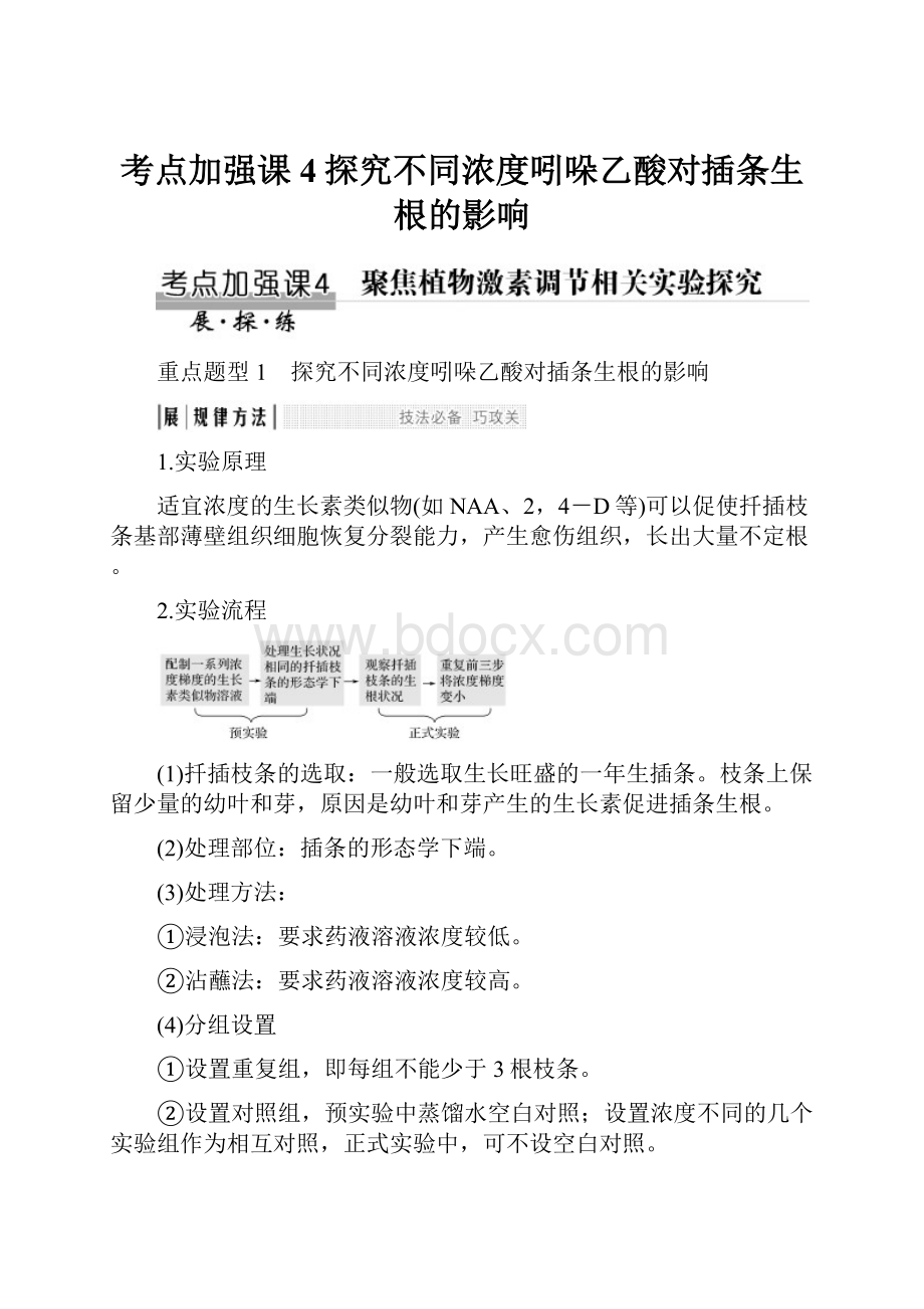 考点加强课4探究不同浓度吲哚乙酸对插条生根的影响.docx