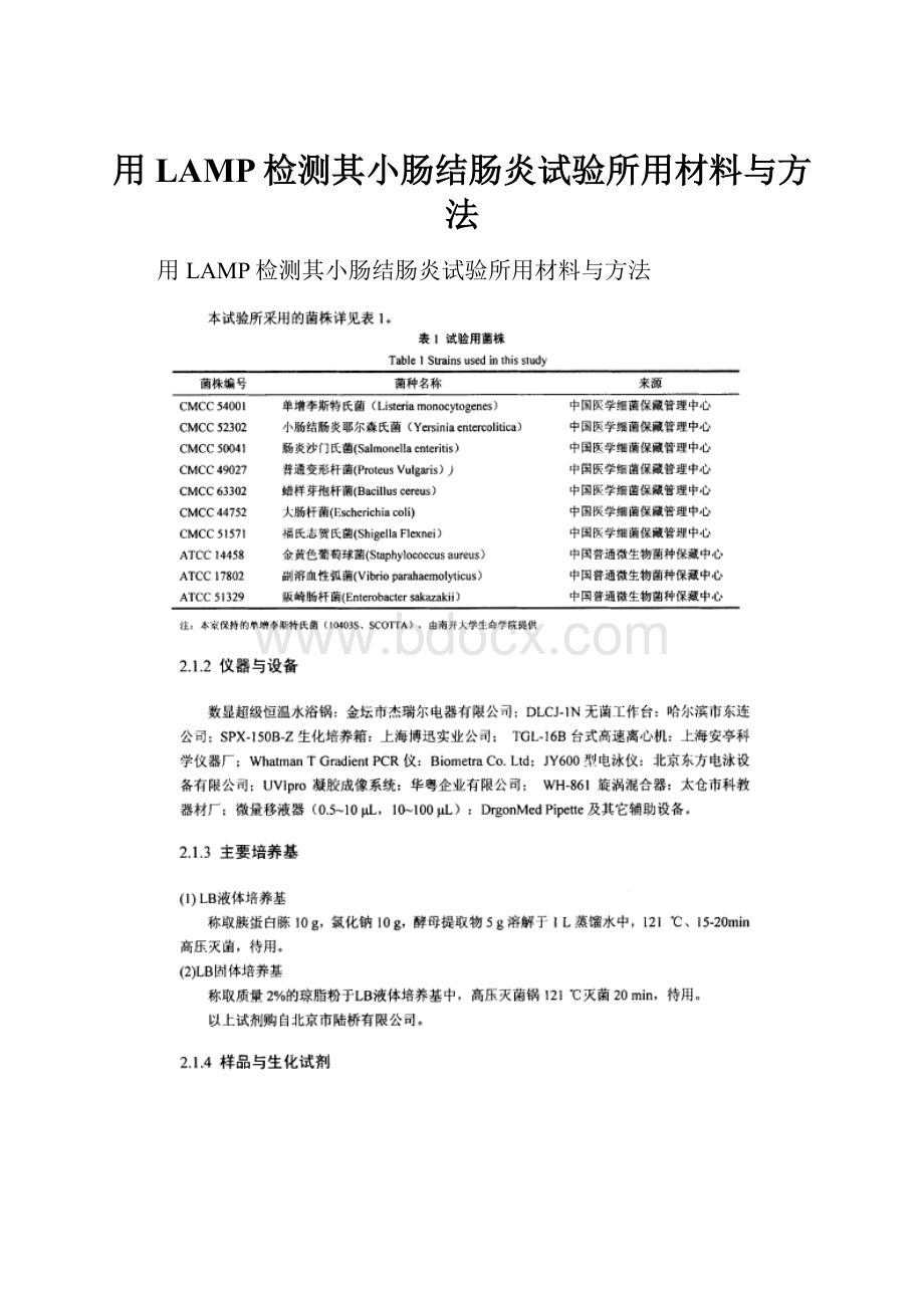 用LAMP检测其小肠结肠炎试验所用材料与方法.docx_第1页