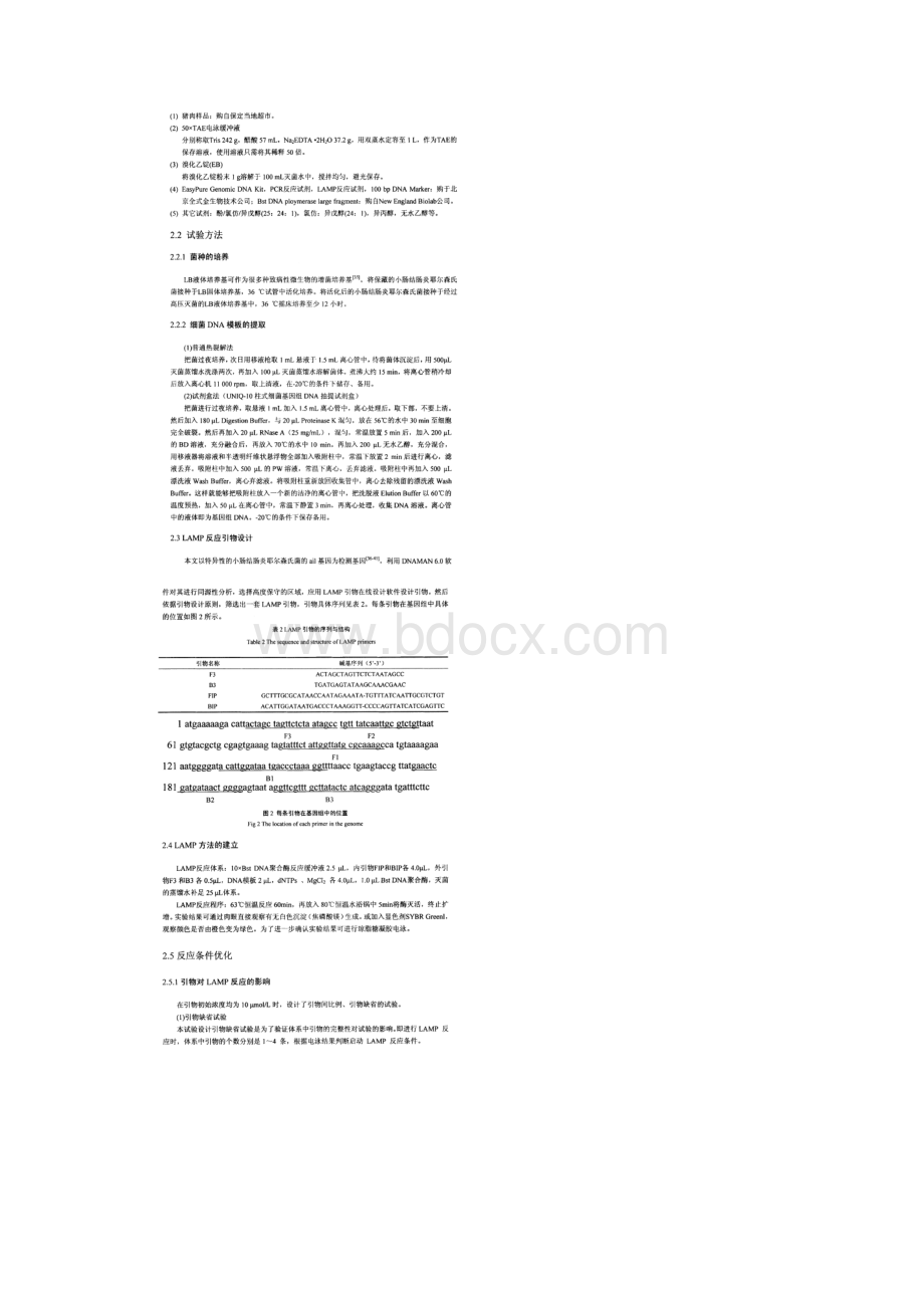 用LAMP检测其小肠结肠炎试验所用材料与方法.docx_第2页