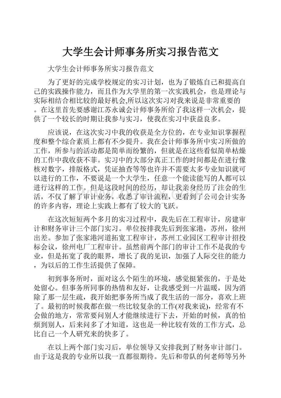 大学生会计师事务所实习报告范文.docx