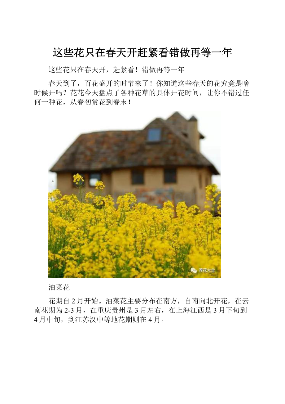 这些花只在春天开赶紧看错做再等一年.docx