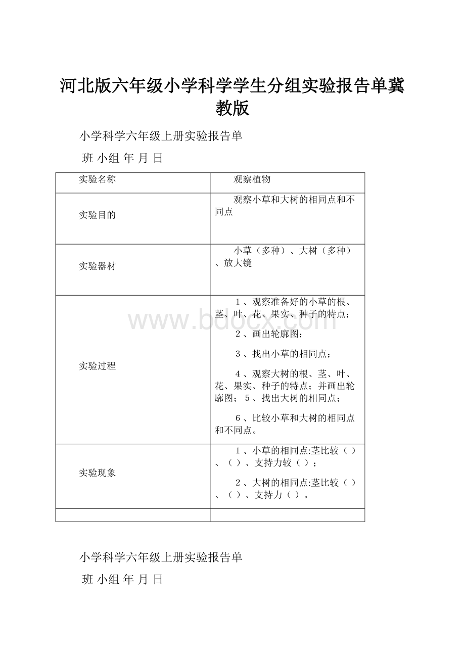 河北版六年级小学科学学生分组实验报告单冀教版.docx_第1页