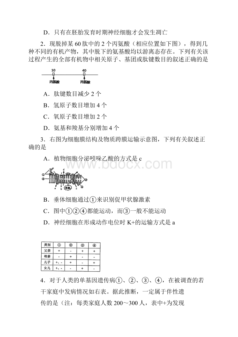 济南市一模山东省济南市届高三高考模拟 理综.docx_第2页