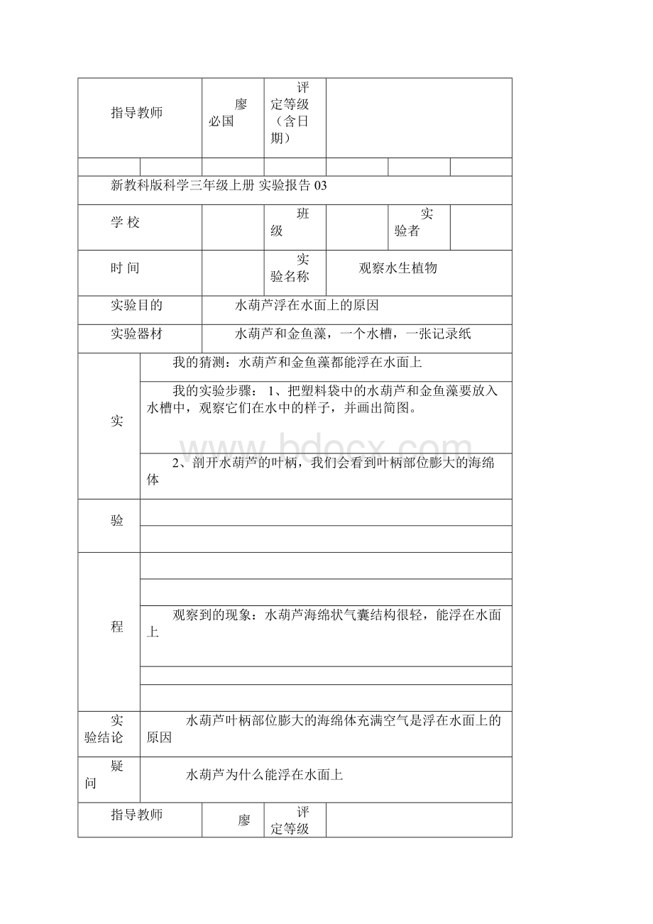 教科版三年级上册科学实验报告单.docx_第3页