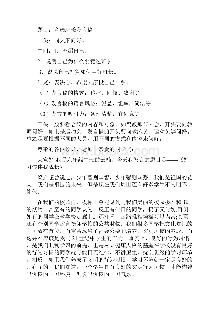 发言稿件的格式及范文.docx_第2页