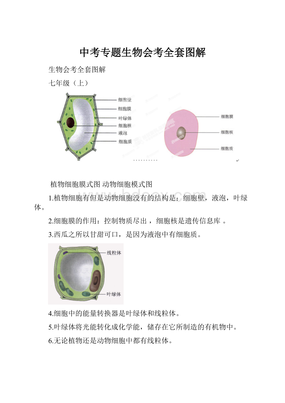 中考专题生物会考全套图解.docx_第1页