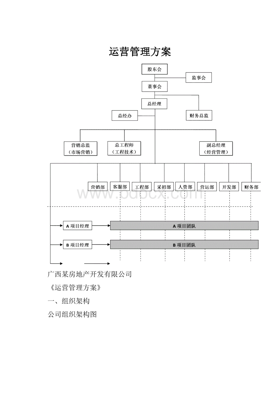 运营管理方案.docx