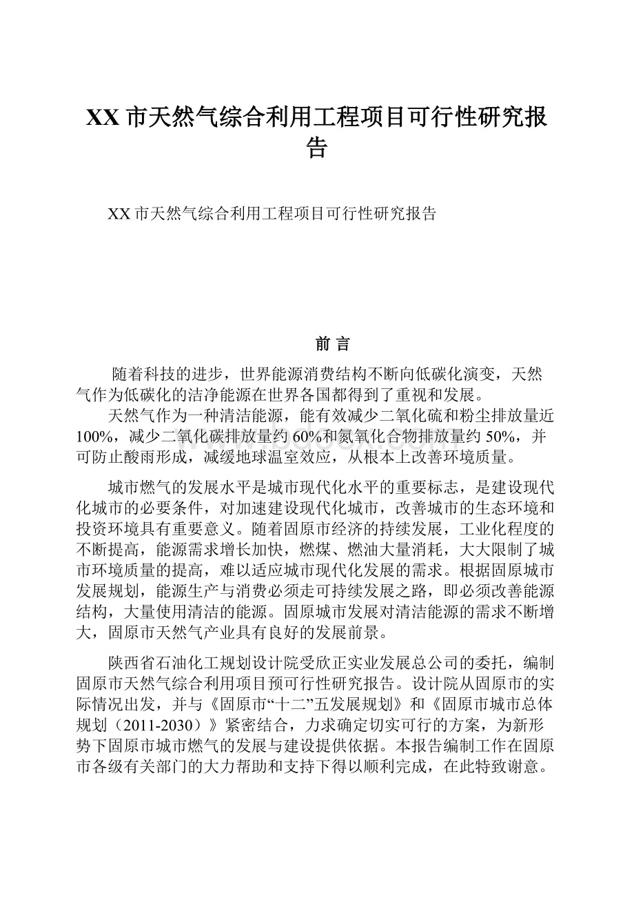 XX市天然气综合利用工程项目可行性研究报告.docx_第1页