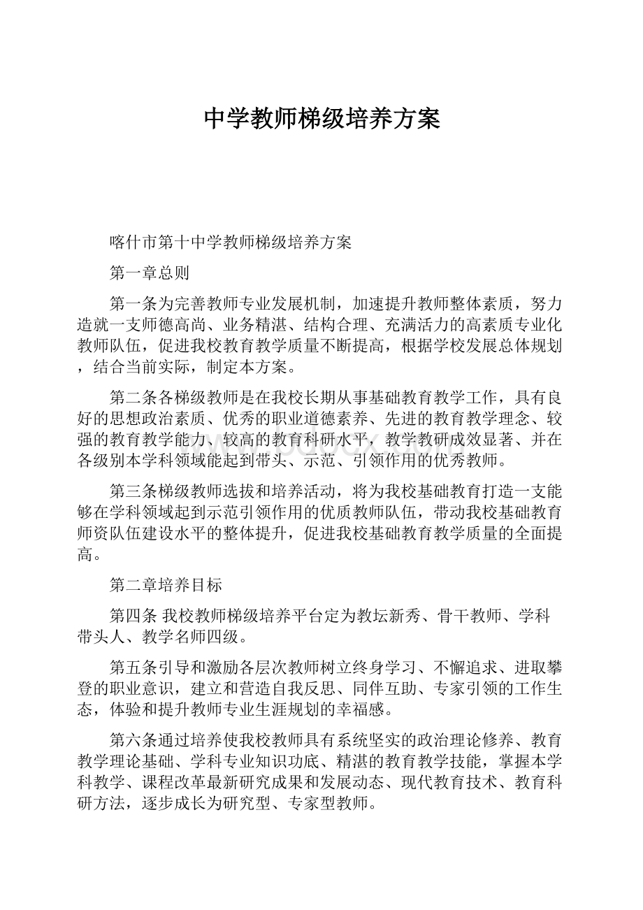 中学教师梯级培养方案.docx