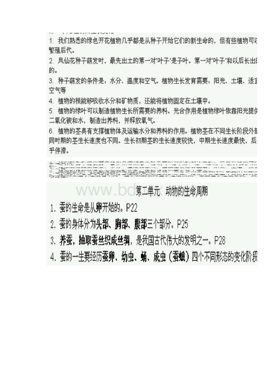 三下科学期末复习小帮手.docx_第2页