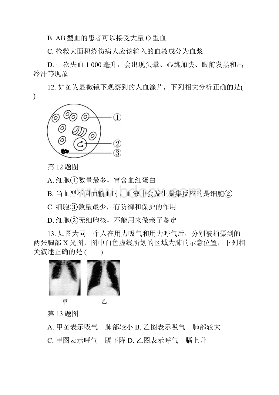 初中生物 七年级下综合检测卷.docx_第3页