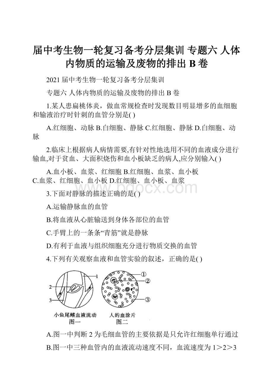 届中考生物一轮复习备考分层集训 专题六 人体内物质的运输及废物的排出 B卷.docx_第1页