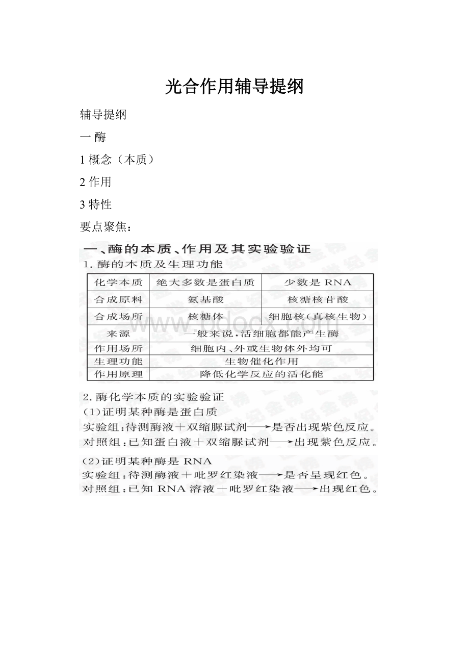 光合作用辅导提纲.docx