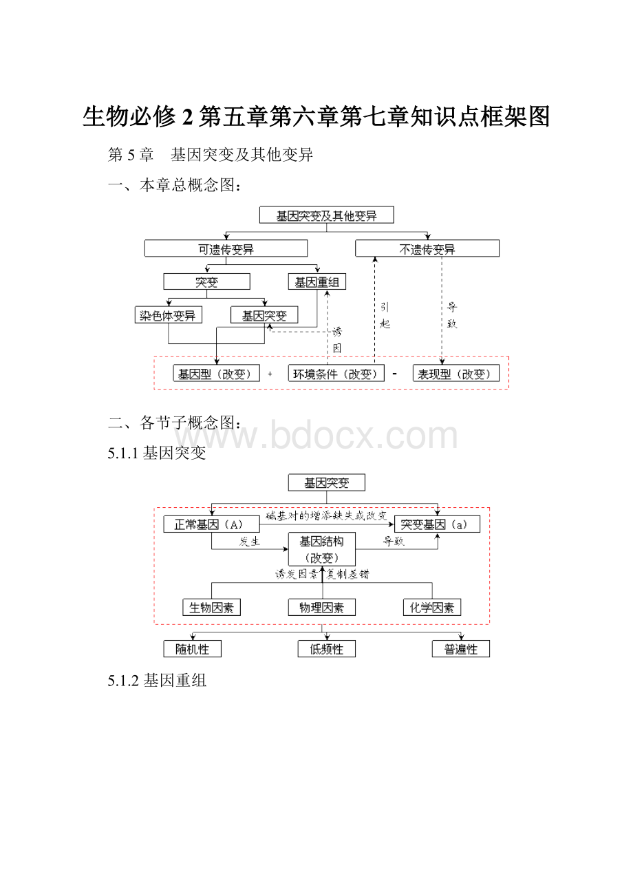 生物必修2第五章第六章第七章知识点框架图.docx_第1页