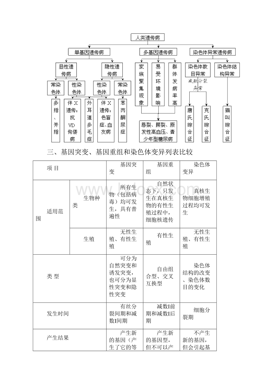 生物必修2第五章第六章第七章知识点框架图.docx_第3页