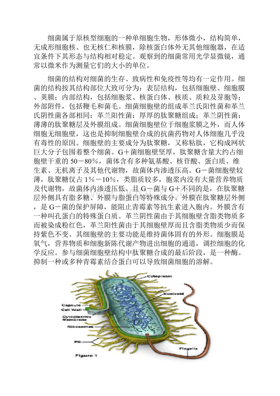 抗生素基础知识剖析.docx_第2页