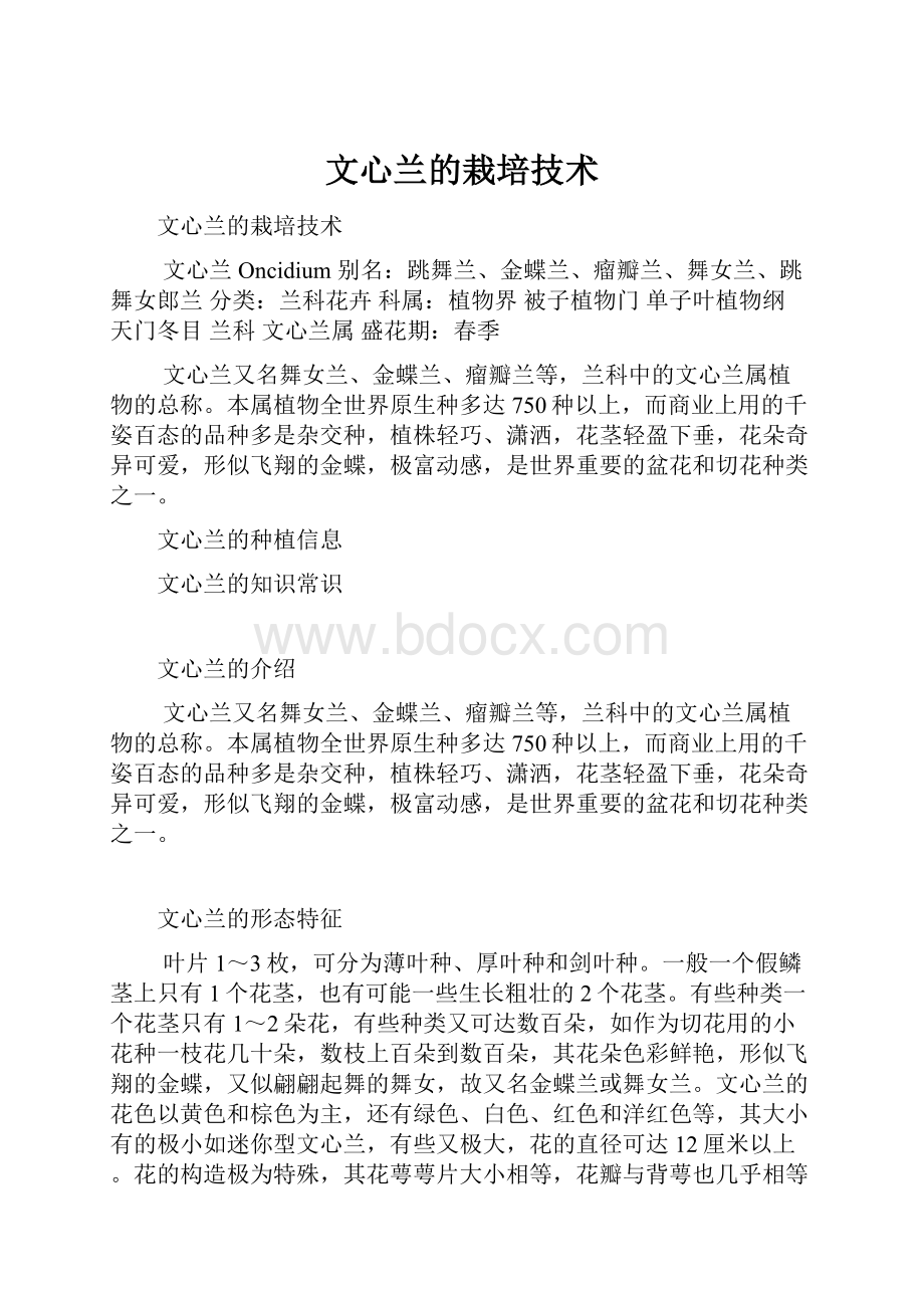 文心兰的栽培技术.docx