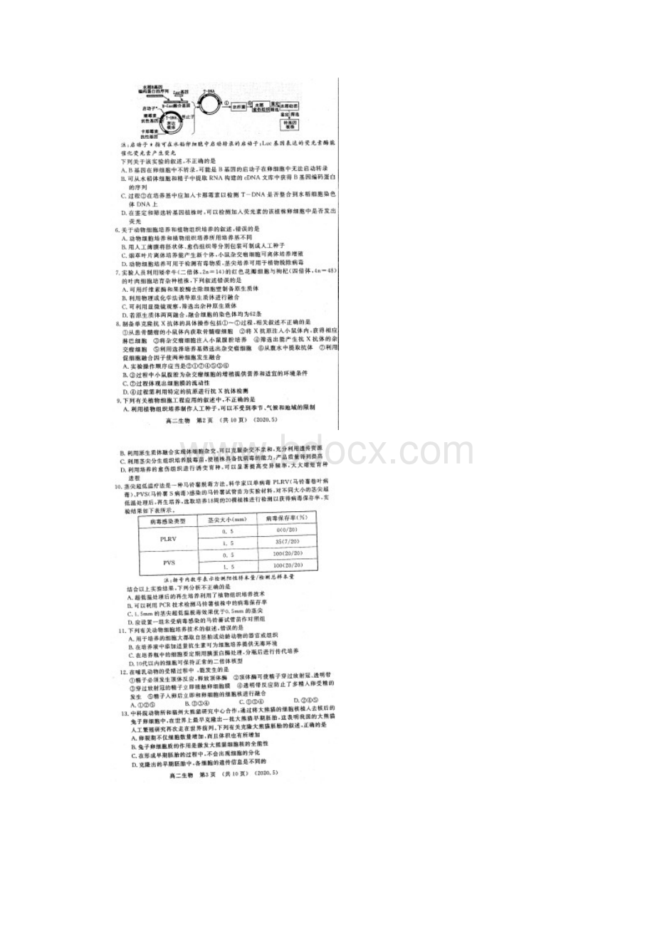 河南省洛阳市学年高二下学期期中考试生物扫描版含答案.docx_第2页