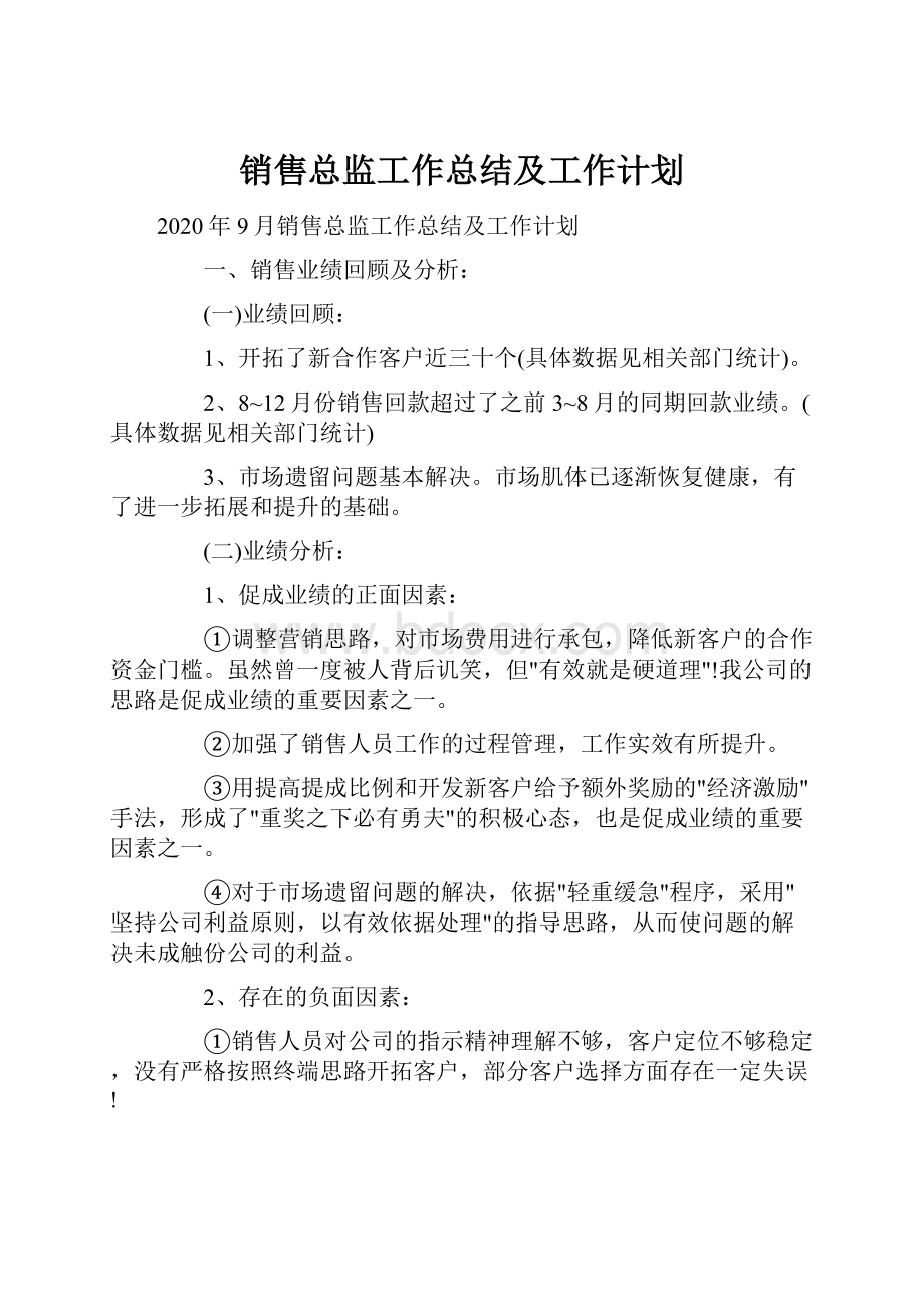 销售总监工作总结及工作计划.docx_第1页