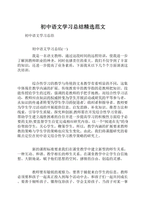 初中语文学习总结精选范文.docx