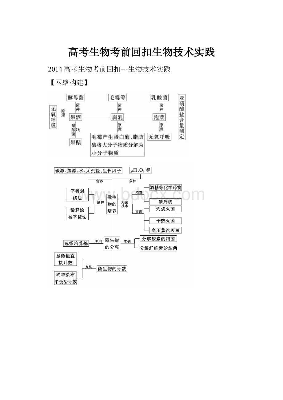 高考生物考前回扣生物技术实践.docx