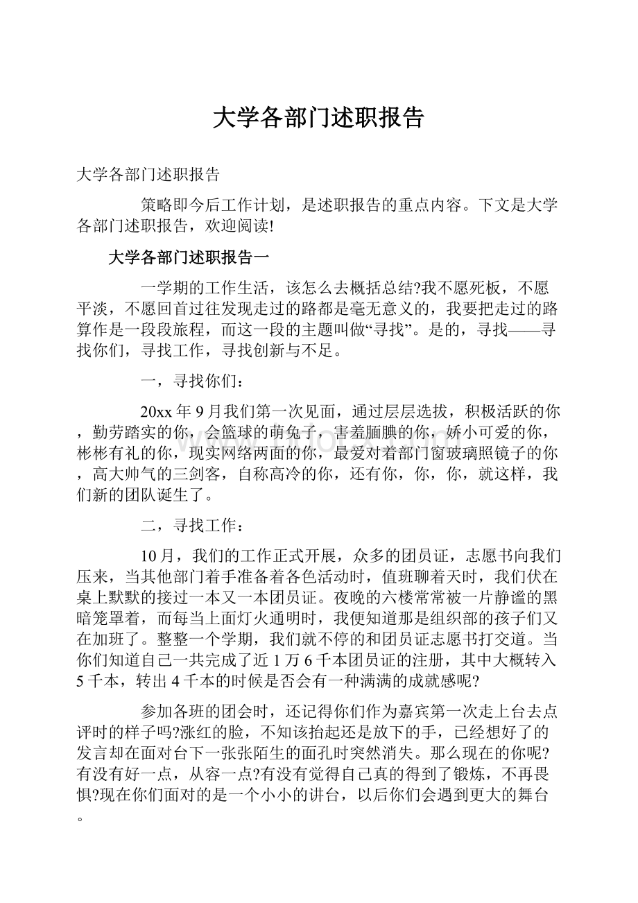 大学各部门述职报告.docx_第1页