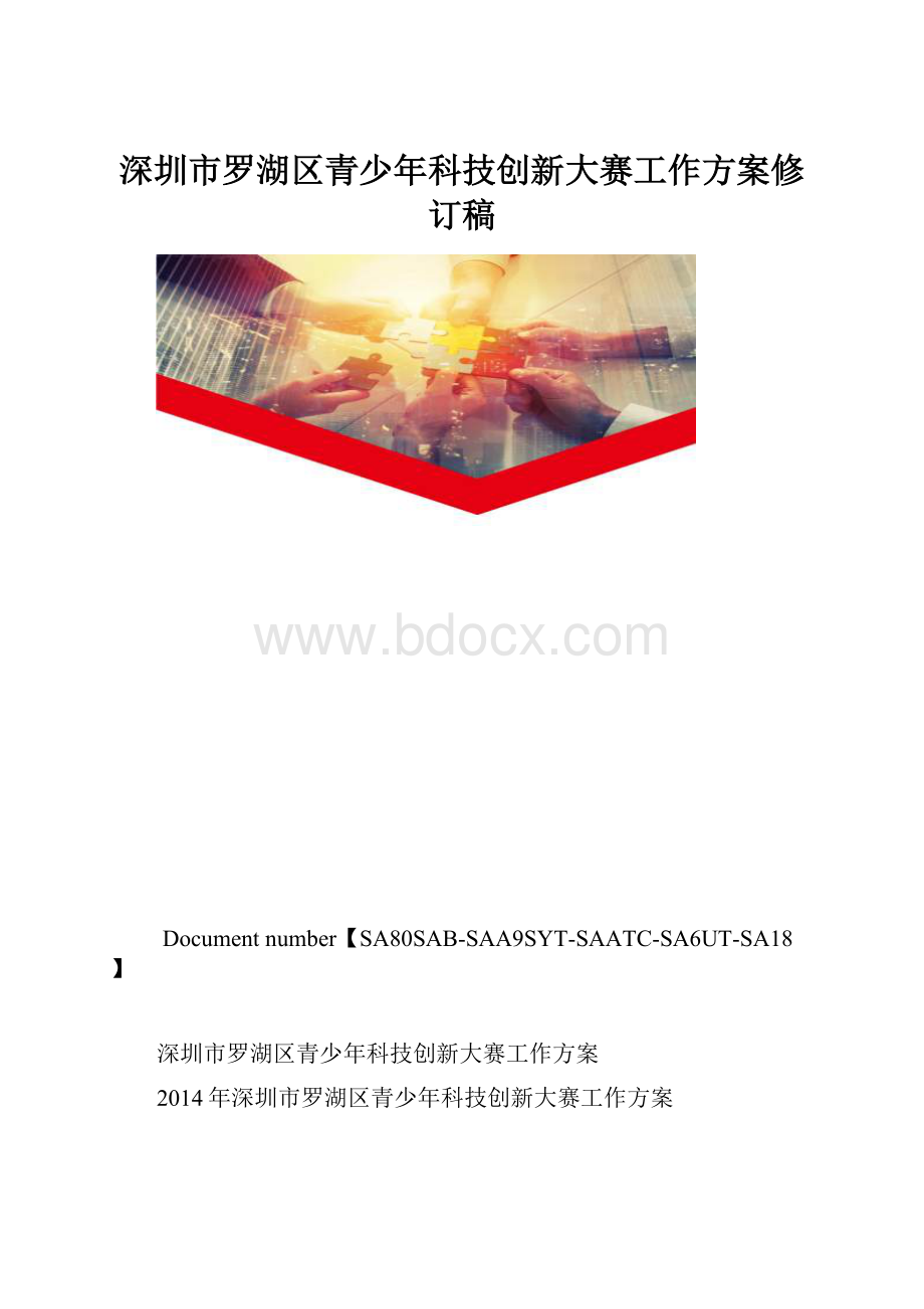 深圳市罗湖区青少年科技创新大赛工作方案修订稿.docx