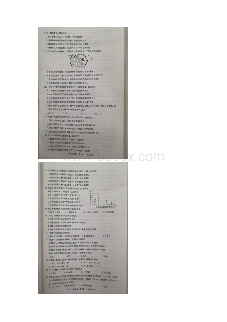 福建省三明市学年高一生物下学期期末考试试题扫描版.docx_第3页