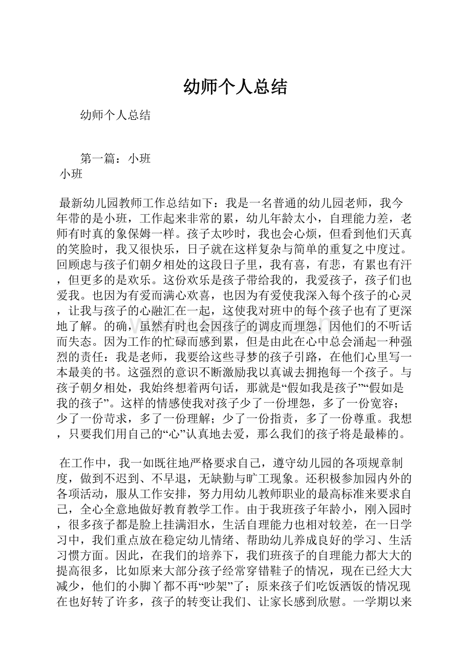 幼师个人总结.docx