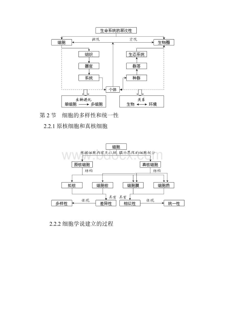 最新高中生物知识概念图汇总.docx_第2页