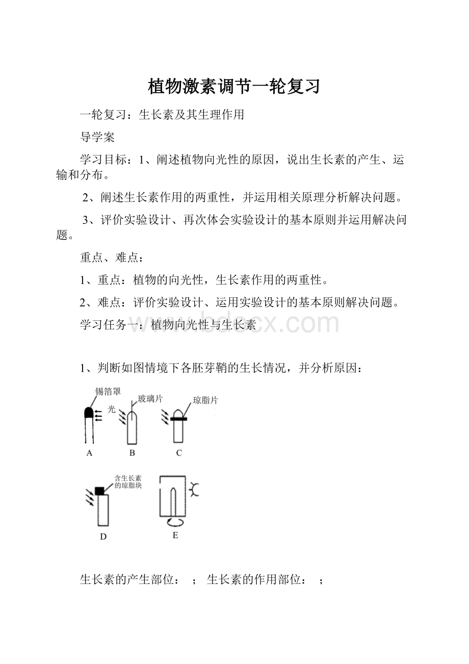 植物激素调节一轮复习.docx_第1页