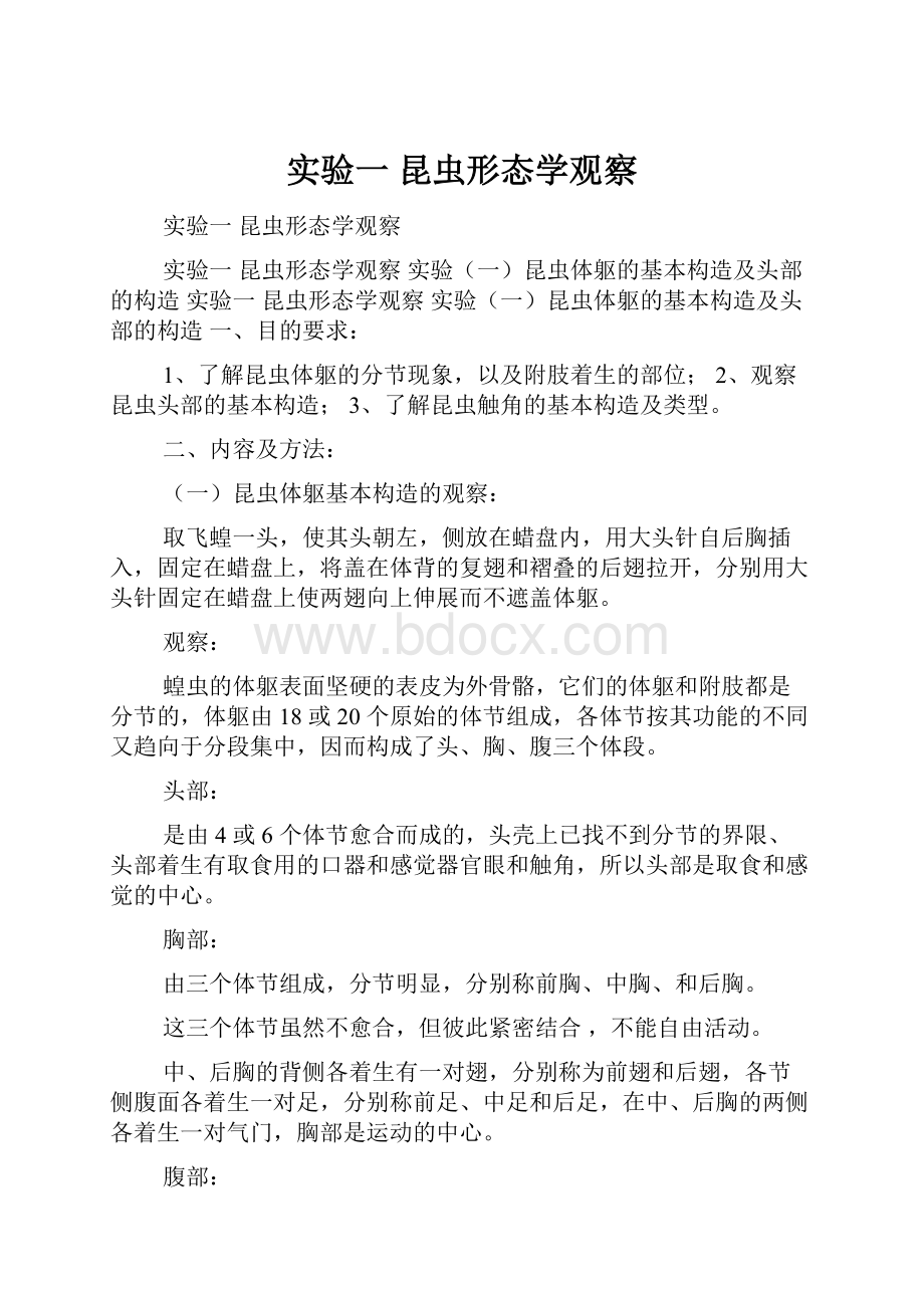 实验一 昆虫形态学观察.docx_第1页