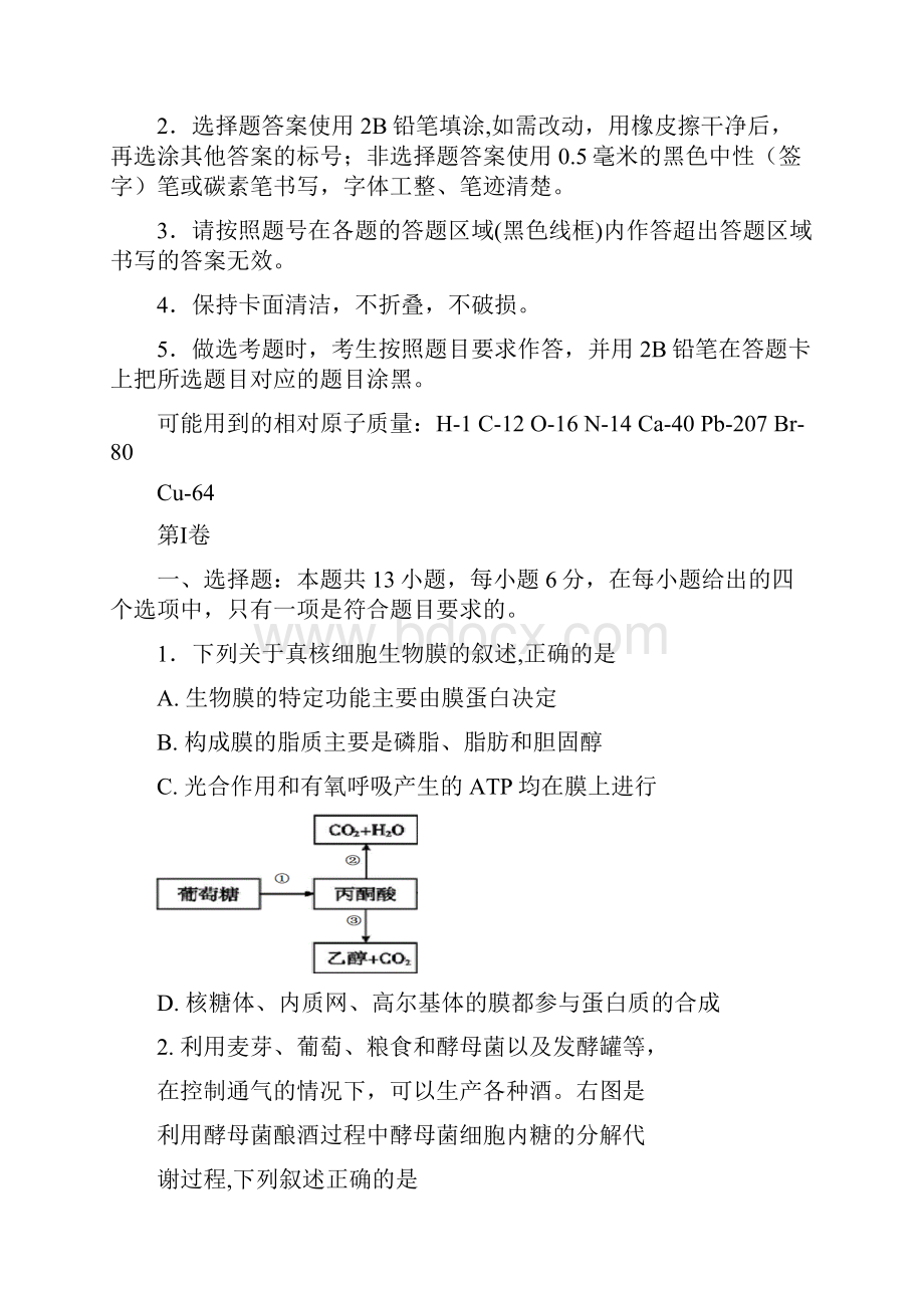 届宁夏银川一中高三第二次模拟考试生物试题及答案.docx_第2页