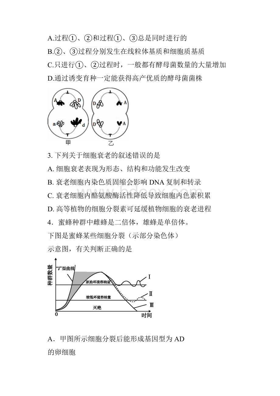 届宁夏银川一中高三第二次模拟考试生物试题及答案.docx_第3页