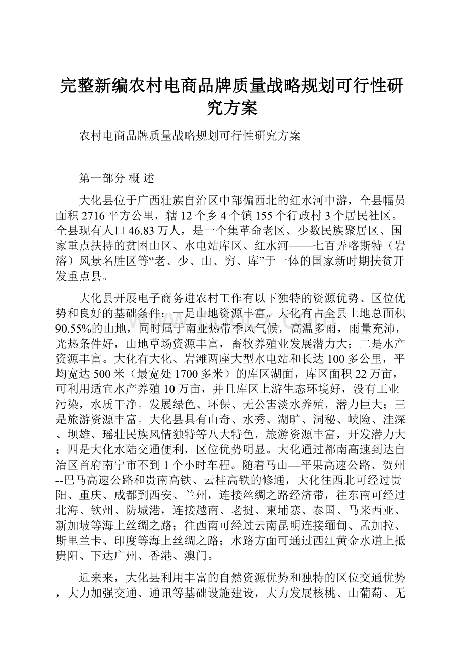 完整新编农村电商品牌质量战略规划可行性研究方案.docx