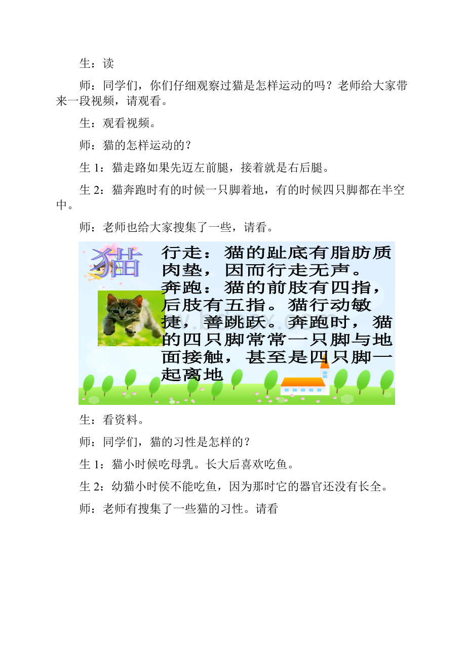 青岛版科学三下《猫和兔》教学设计.docx_第3页