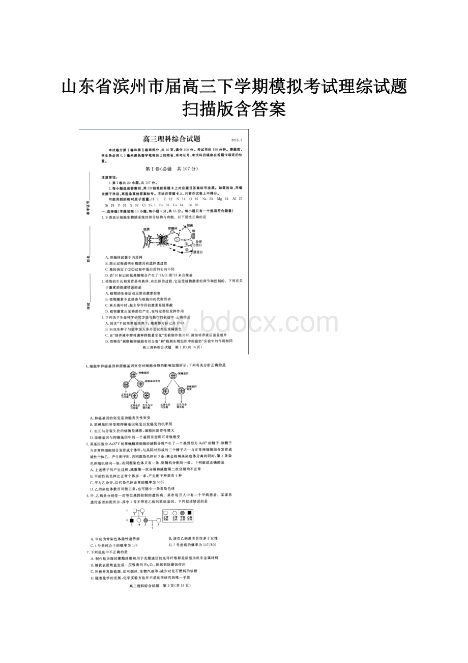 山东省滨州市届高三下学期模拟考试理综试题 扫描版含答案.docx