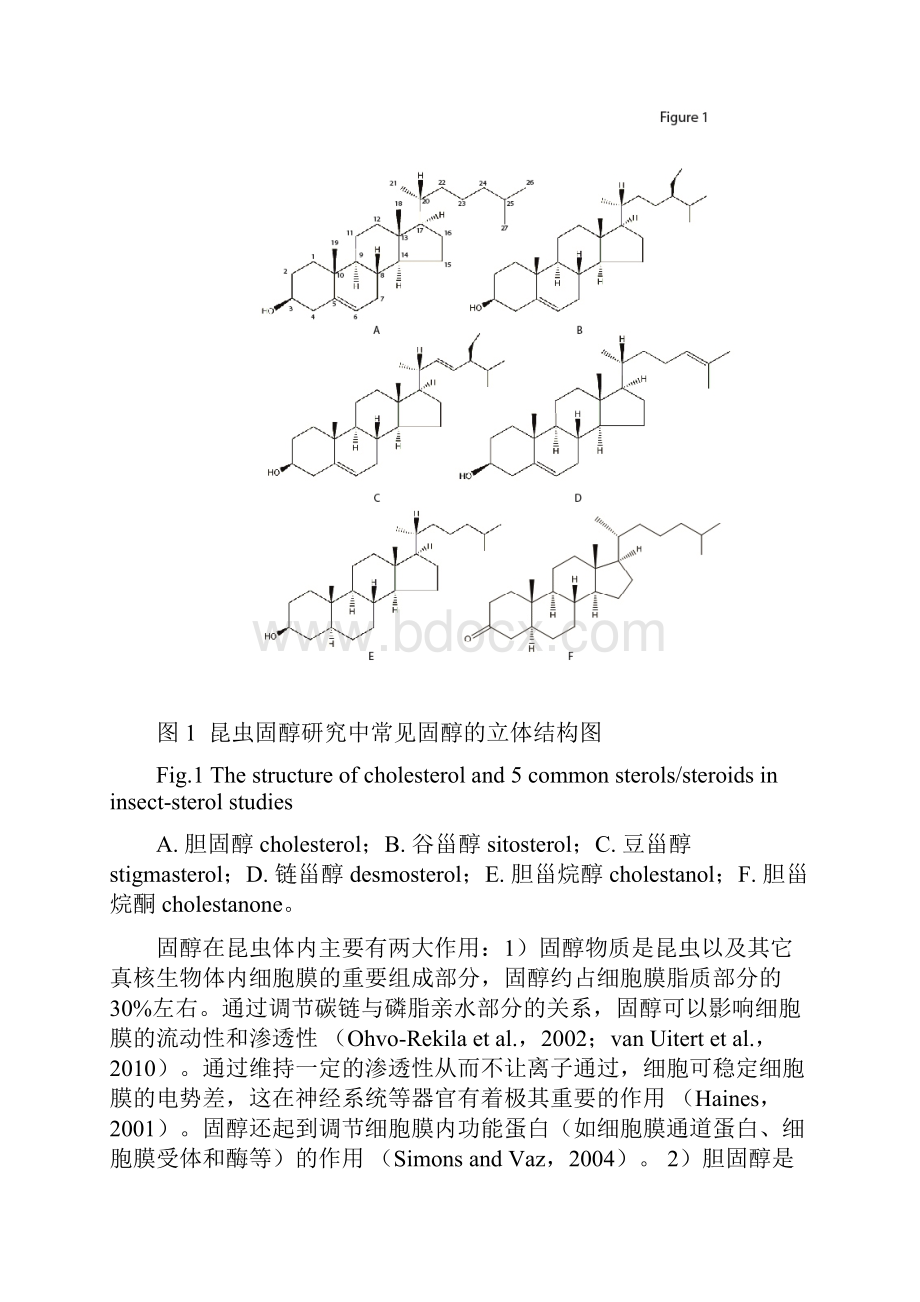 固醇昆虫必须营养物质.docx_第3页